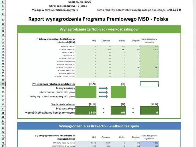 Dashboard finansowy zbiorczy w Excel - analiza klientów